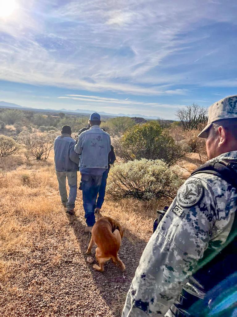 Perrito buscó y salvó a Don Gregorio, su dueño de 84 años que se había perdido