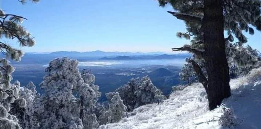 Se congela Sonora, el termómetro llegó a -10 grados
