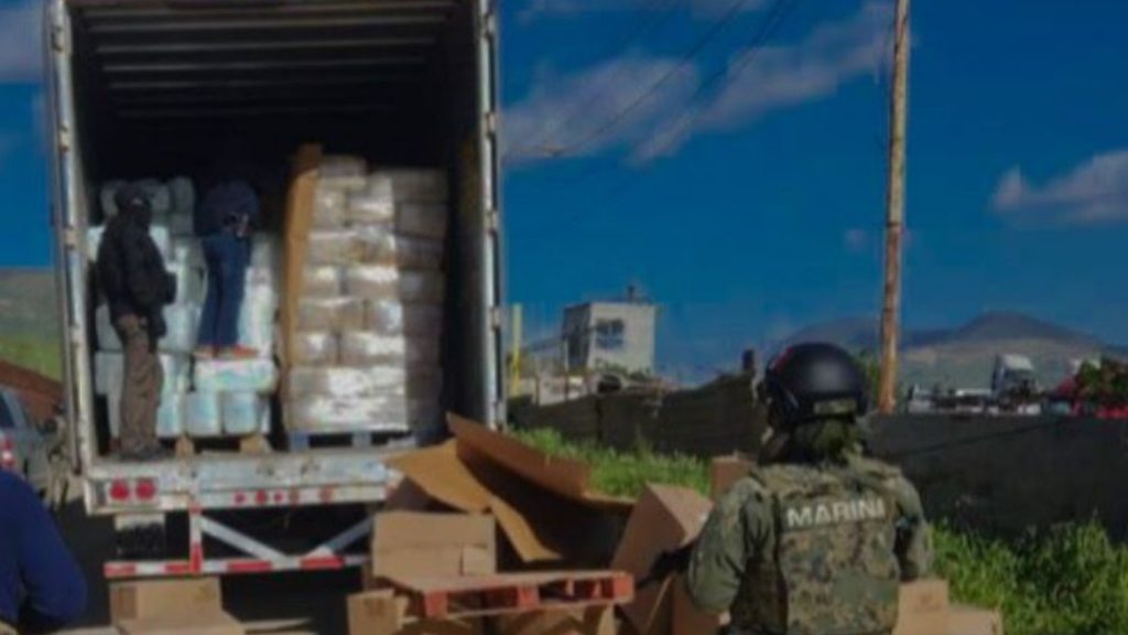 Autoridades incautan 12 toneladas de Cannabis Sativa en Tijuana