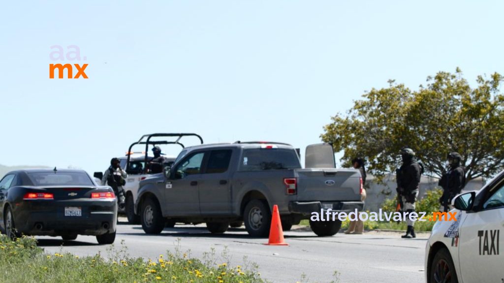 Decomisan más de 12 toneladas de droga en Tijuana