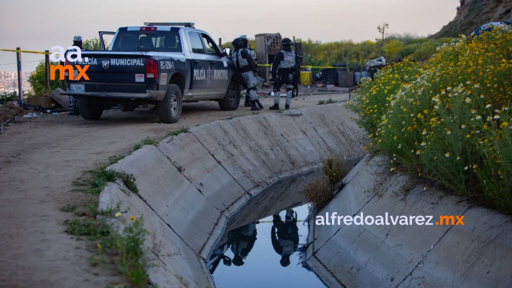 Jovencitos asesinan a cinco personas