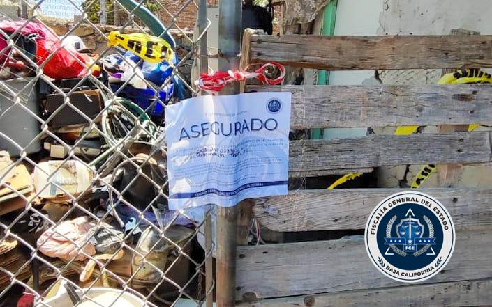 FGE rescata a varios animales tras cateo y detuvo una persona