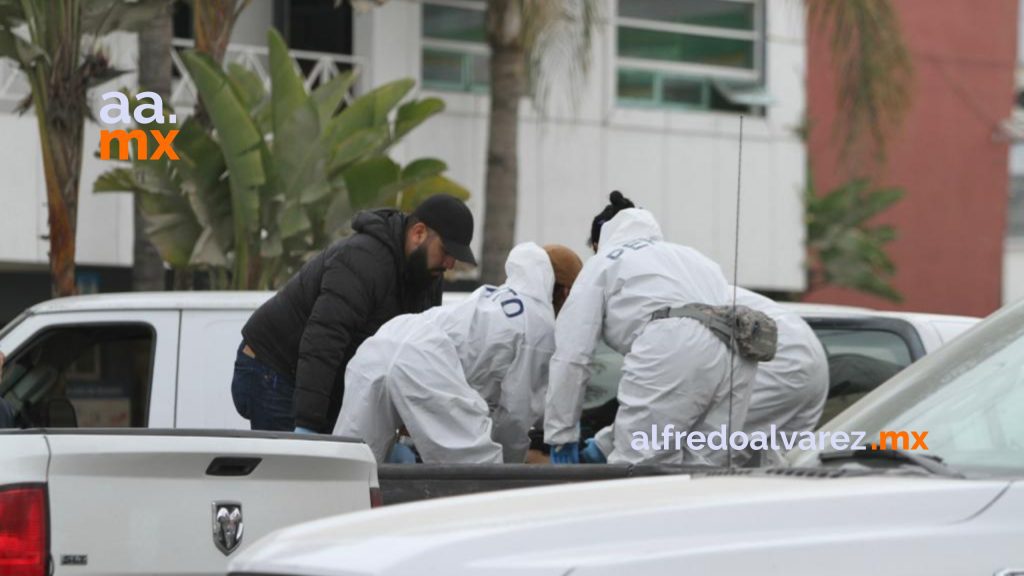 Detenidos por el hallazgo de siete cadáveres son inocentes: FGE