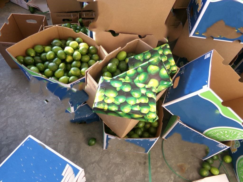Descubren 3 mdd en cocaína ocultos en cargamento de limones