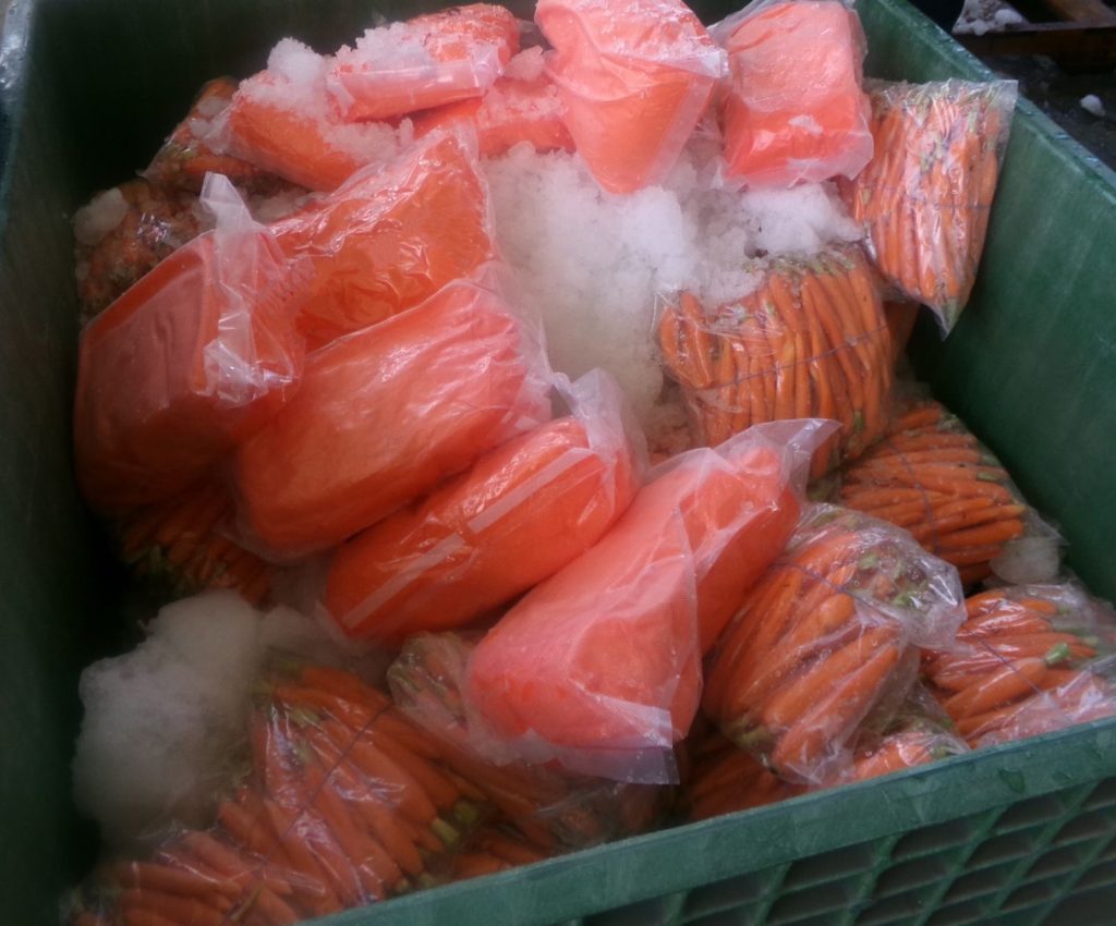 Localizan 574 paquetes de metanfetamina en cargamento de Zanahorias