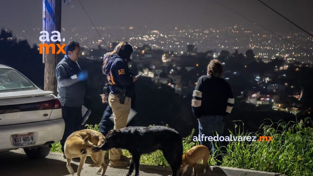 Pareja muere calcinada tras incendio de cuartería