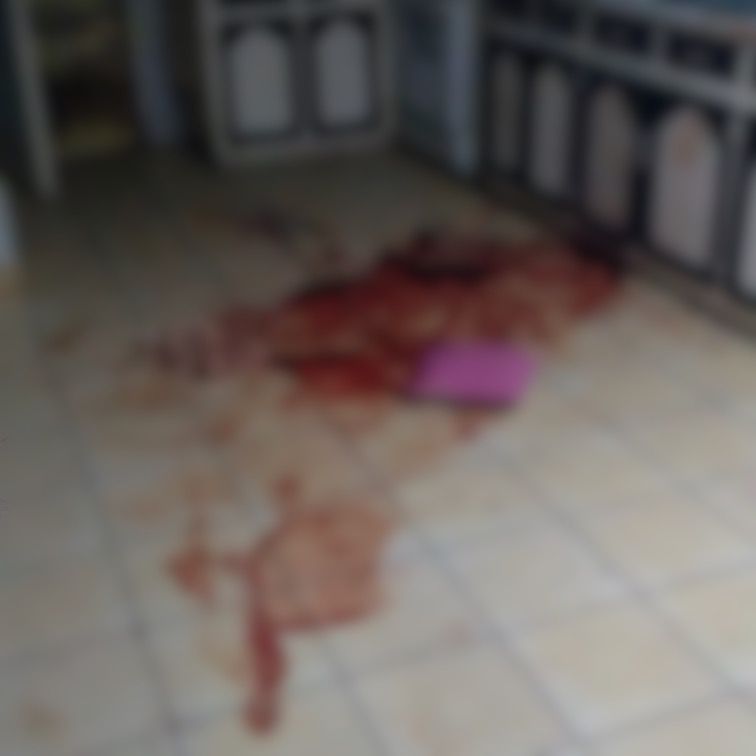 Abaten a hombre que robó auto y mató a una persona a machetazos