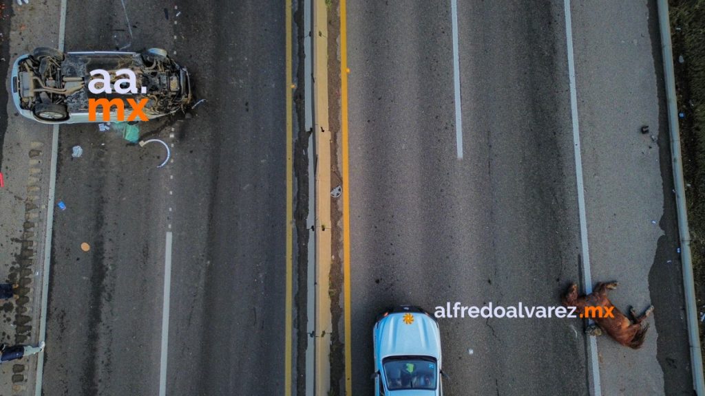 Caballos provocan carambola en la carretera Escénica Tijuana - Ensenada