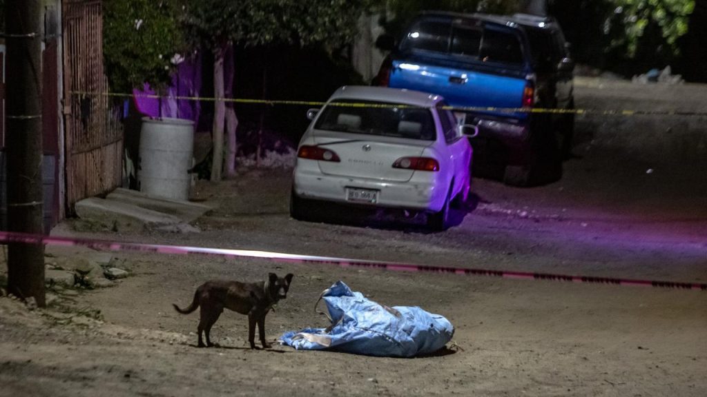 Tiran cadáver con tiro de gracia frente a una casa Tiran cadáver con tiro de gracia frente a una casa