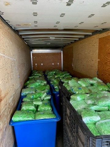 CBP descubre metanfetamina en cargamento de calabazas