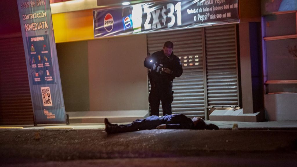 De un balazo en la cabeza asesinaron a un hombre