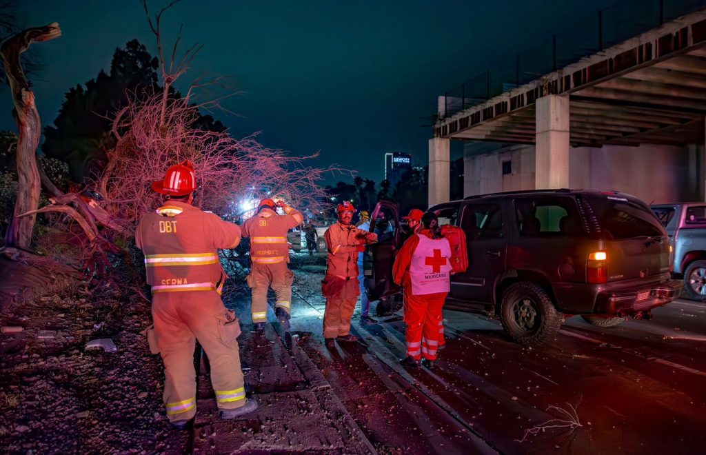 Chocan con árbol en la Vía Rápida