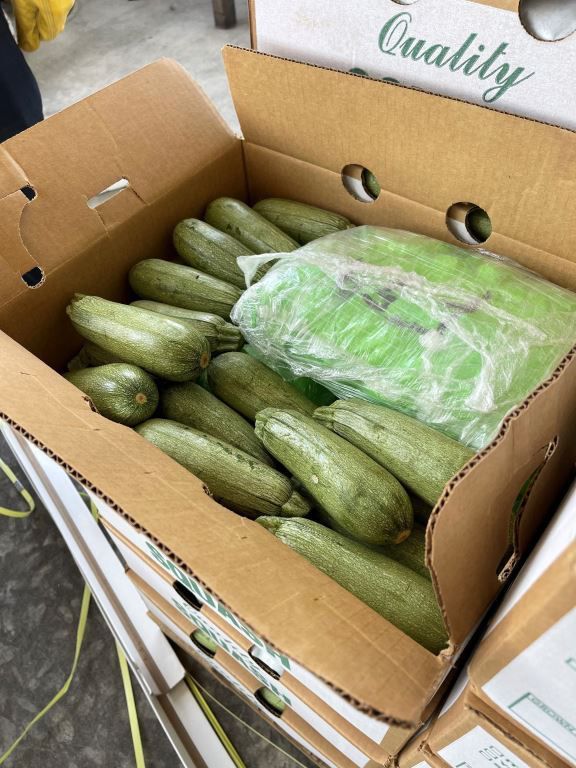 CBP descubre metanfetamina en cargamento de calabazas