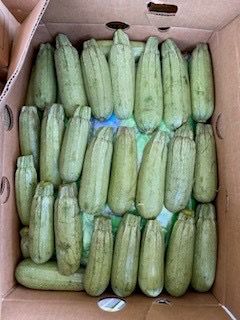 CBP descubre metanfetamina en cargamento de calabazas