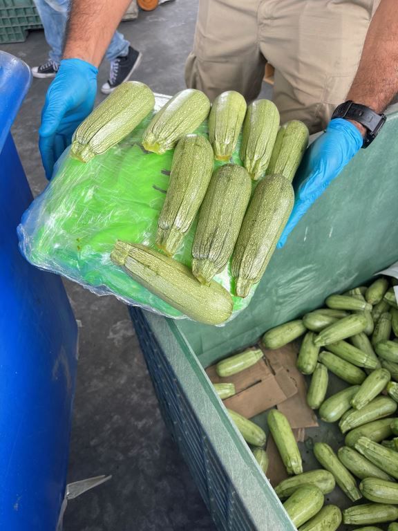 CBP descubre metanfetamina en cargamento de calabazas