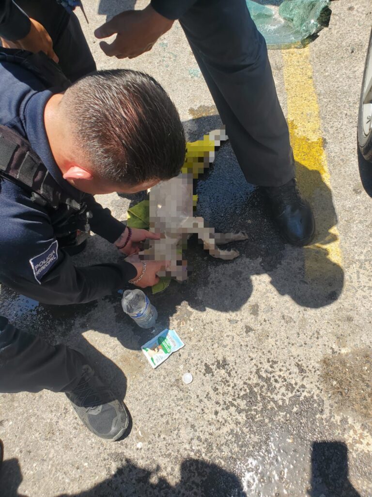 Detienen a hombre por abandonar a cachorro dentro del auto en Mexicali