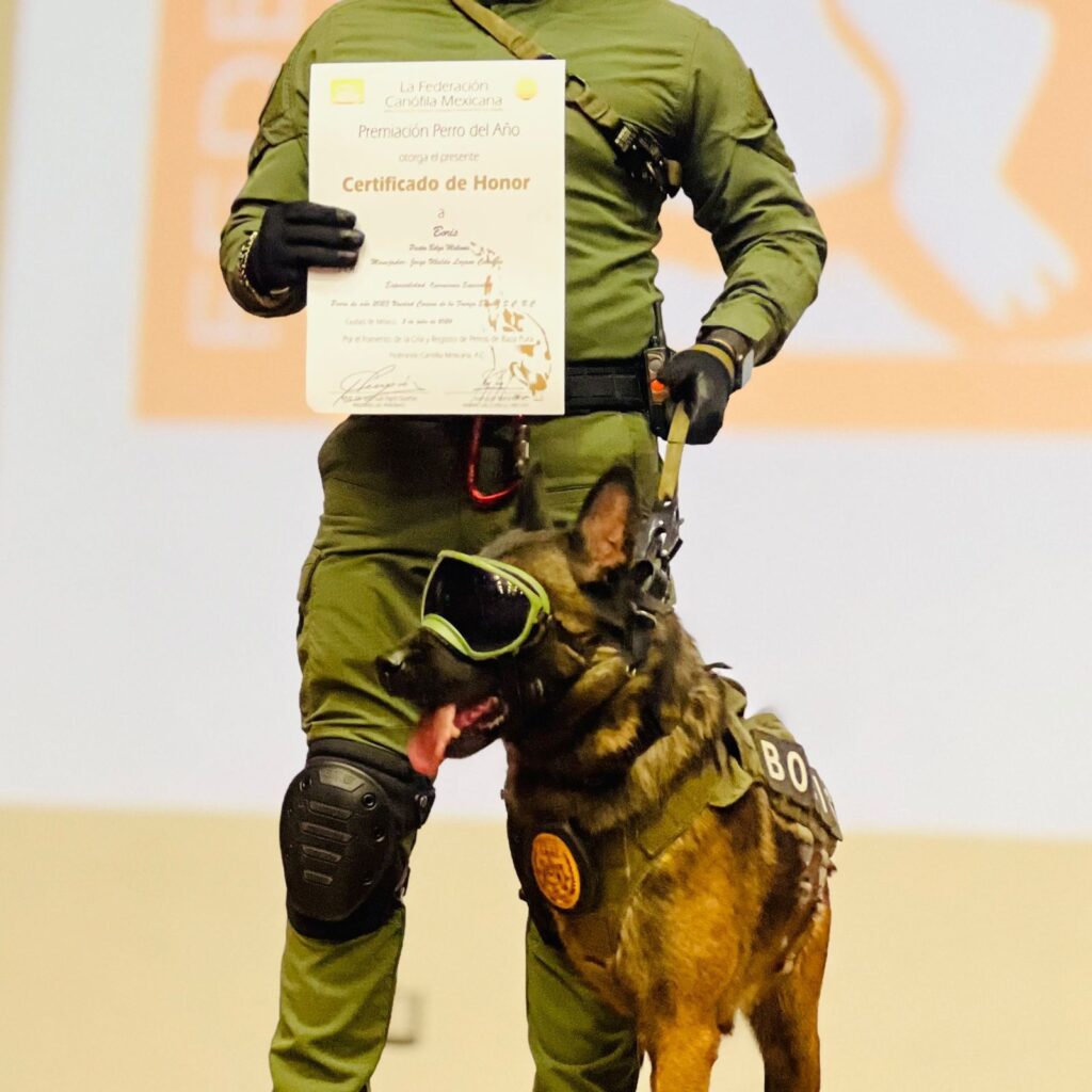 Boris agente canino de FESC es nombrado perro del año 2023
