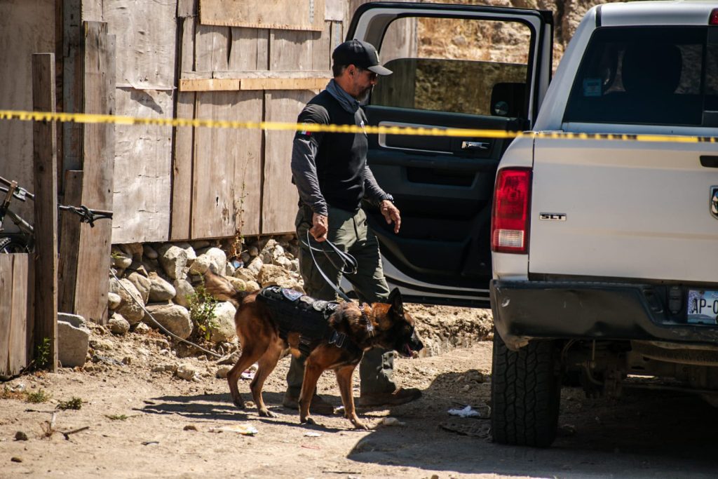 Localizan cadáver femenino en búsqueda de Adara Paulina