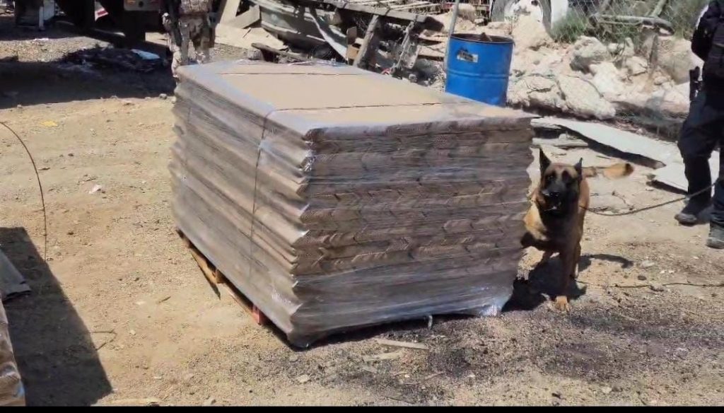 Ejército Mexicano y Guardia Nacional decomisan 455 Kg de cocaína en Tijuana