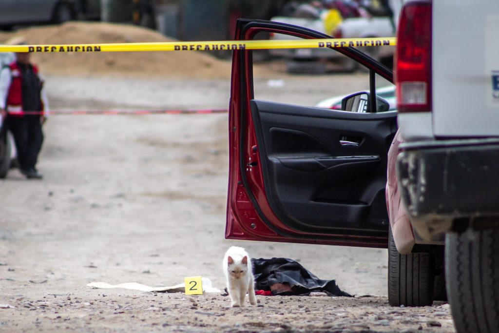 Matan a hombre en Valle del Rubí