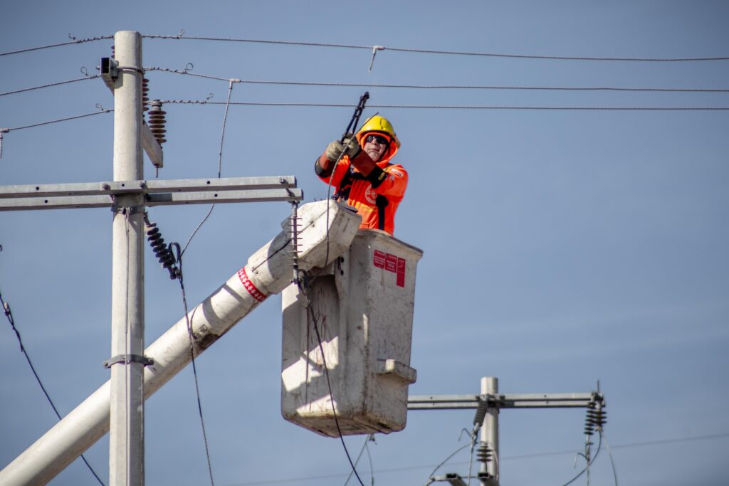 Hombre y su perro mueren electrocutados por cables de CFE caídos