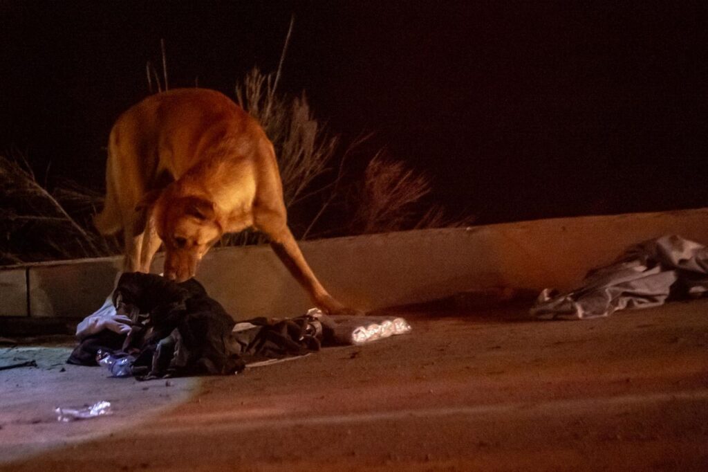 Ataque en el Cañón del Matadero deja un muerto y un herido Ataque en el Cañón del Matadero deja un muerto y un herido