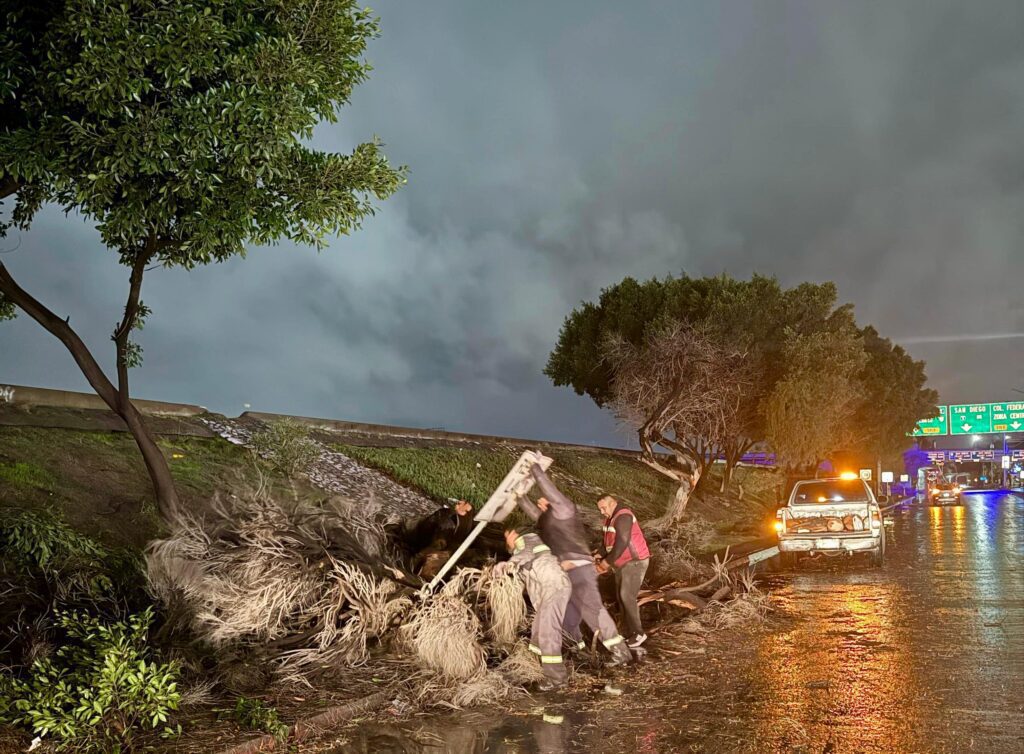 Atiende Ayuntamiento de Tijuana reportes de incidentes por condiciones climáticas