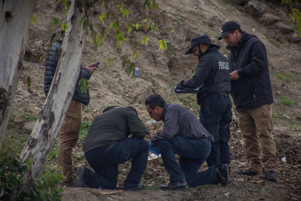 Trabajadores del Ayuntamiento hallan cráneo humano mientras limpiaban