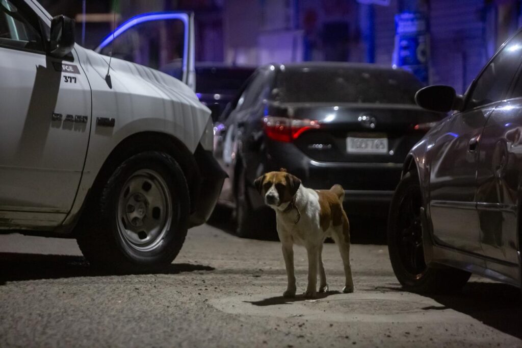 Asesinan a hombre dentro de un vehículo en la colonia Centro Urbano 70-76 Asesinan a hombre dentro de un vehículo en la colonia Centro Urbano 70-76