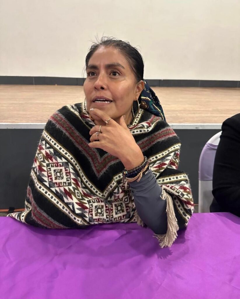 “No es verdad que llegamos todas”: Eufrosina Cruz
