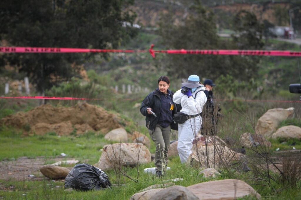 Hallan restos humanos en bolsas abandonadas