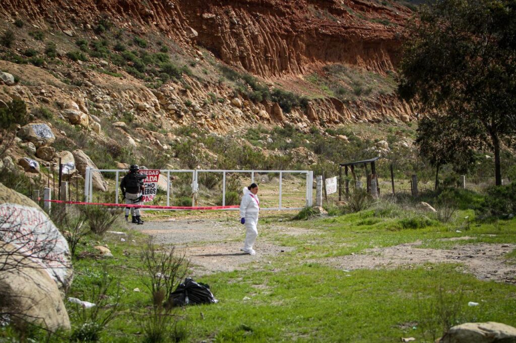 Hallan restos humanos en bolsas abandonadas