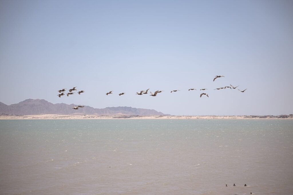San Felipe recibe a miles de turistas durante Semana Santa