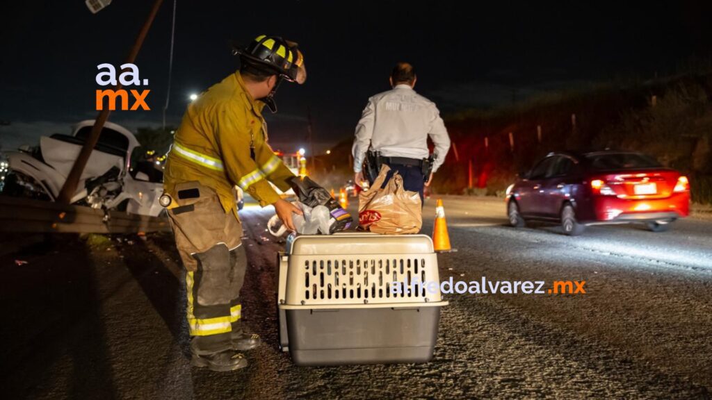 Vehículo Tesla termina envuelto en llamas tras accidente y fallido intento de remolque