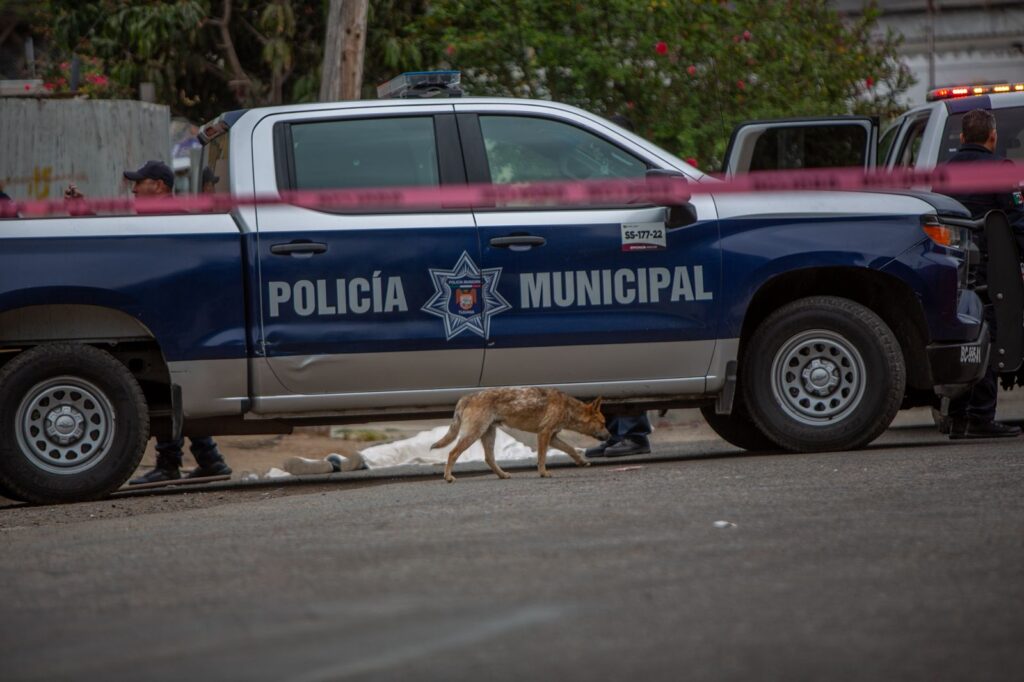 Mujer es asesinada con un barrote en la colonia Morelos; hay un detenido