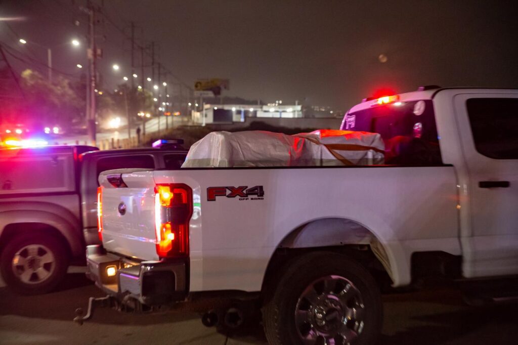 Rescata FGR a cachorro de tigre blanco en Tijuana