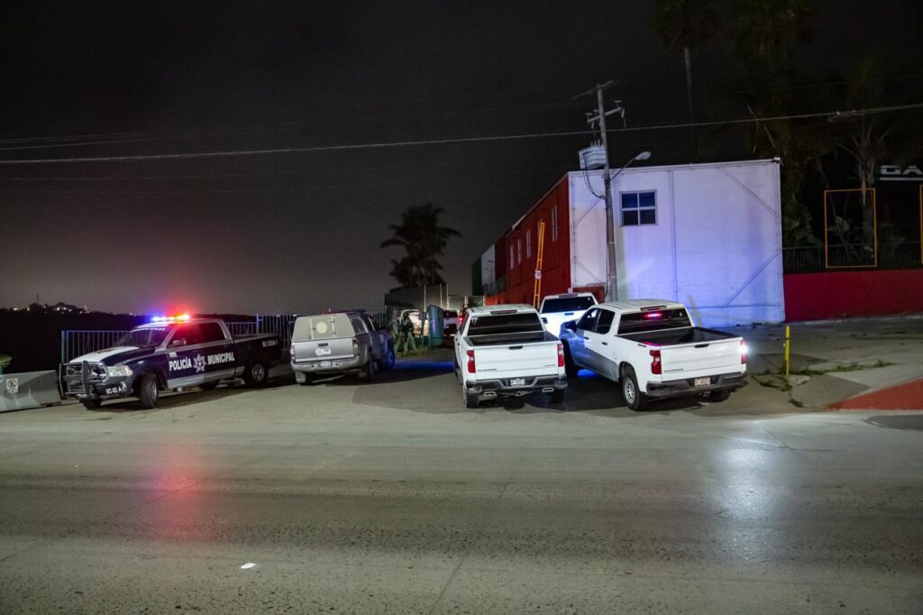 Rescata FGR a cachorro de tigre blanco en Tijuana