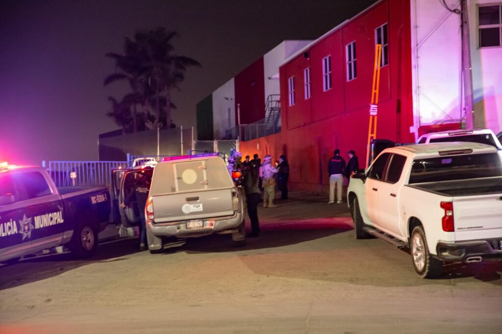 Rescata FGR a cachorro de tigre blanco en Tijuana
