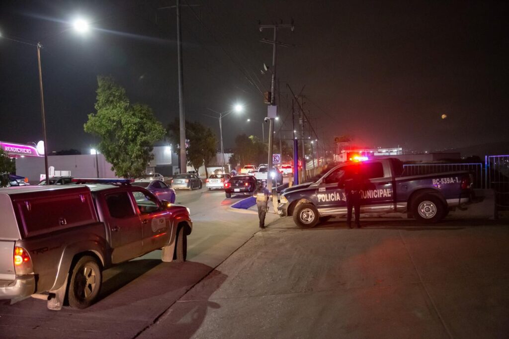 Rescata FGR a cachorro de tigre blanco en Tijuana