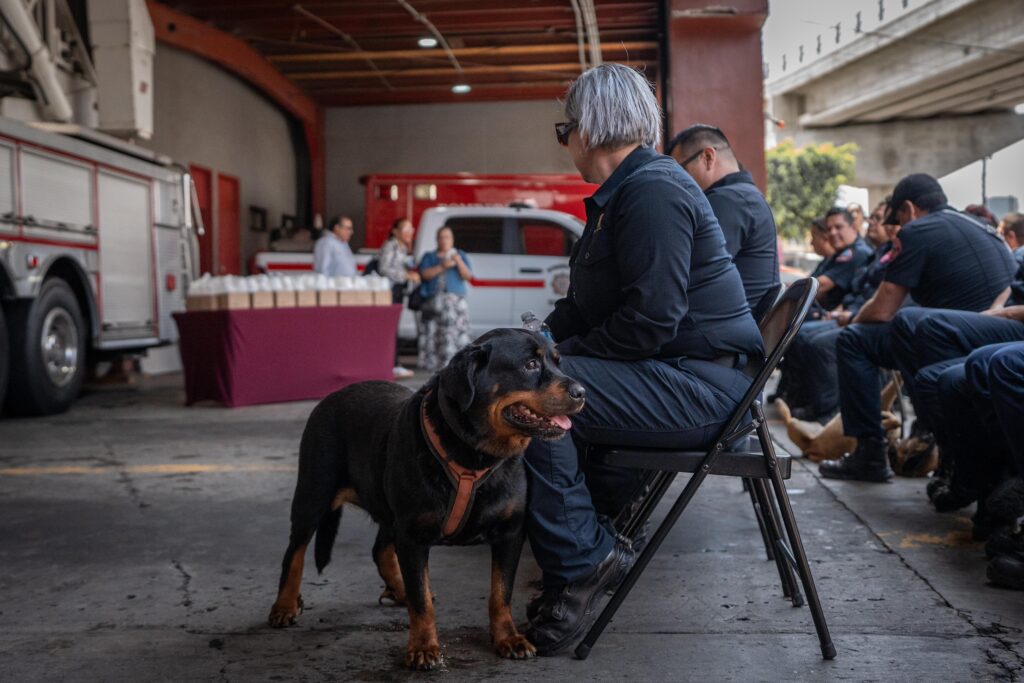 Donan 25 kits de oxigenación para rescate animal a Bomberos de Tijuana Donan 25 kits de oxigenación para rescate animal a Bomberos de Tijuana