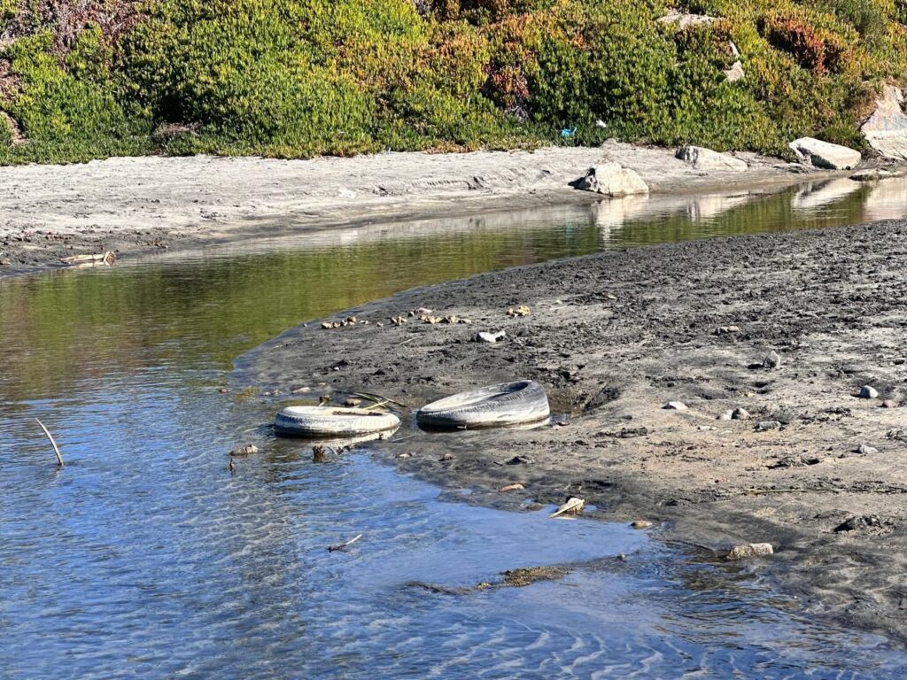 Derrame de aguas negras en Rosarito y Tijuana pone en riesgo la salud pública: Hagamos Conciencia
