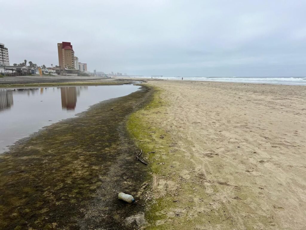 Derrame de aguas negras en Rosarito y Tijuana pone en riesgo la salud pública: Hagamos Conciencia