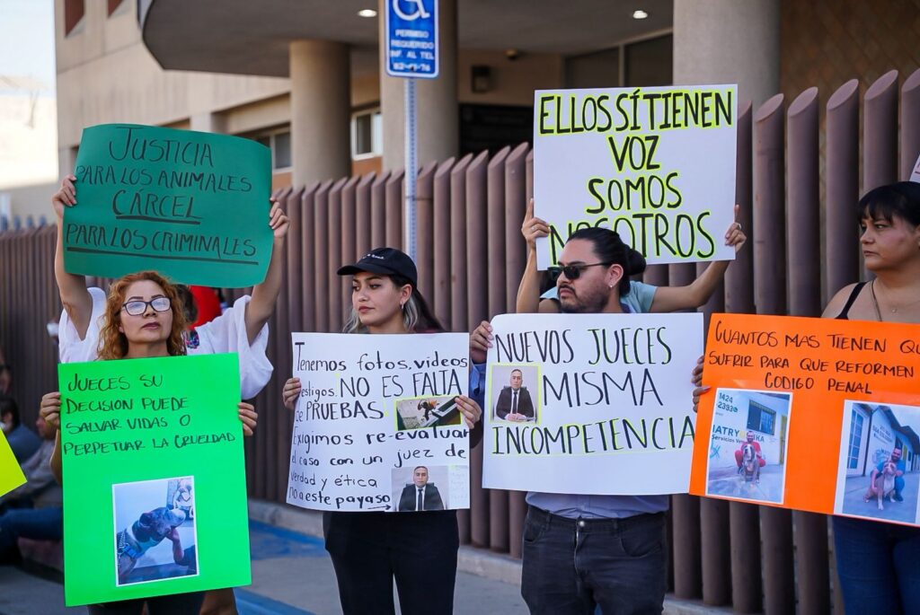 “Leyes que se cumplan y que los castiguen de verdad”, exigen justicia por los animales