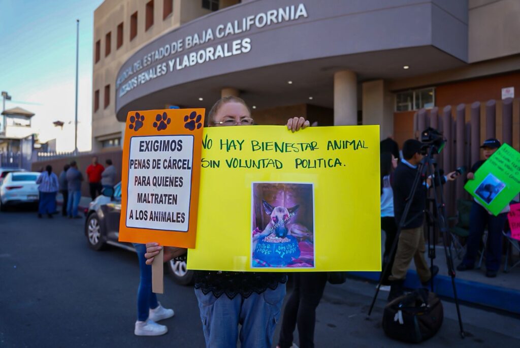 “Leyes que se cumplan y que los castiguen de verdad”, exigen justicia por los animales