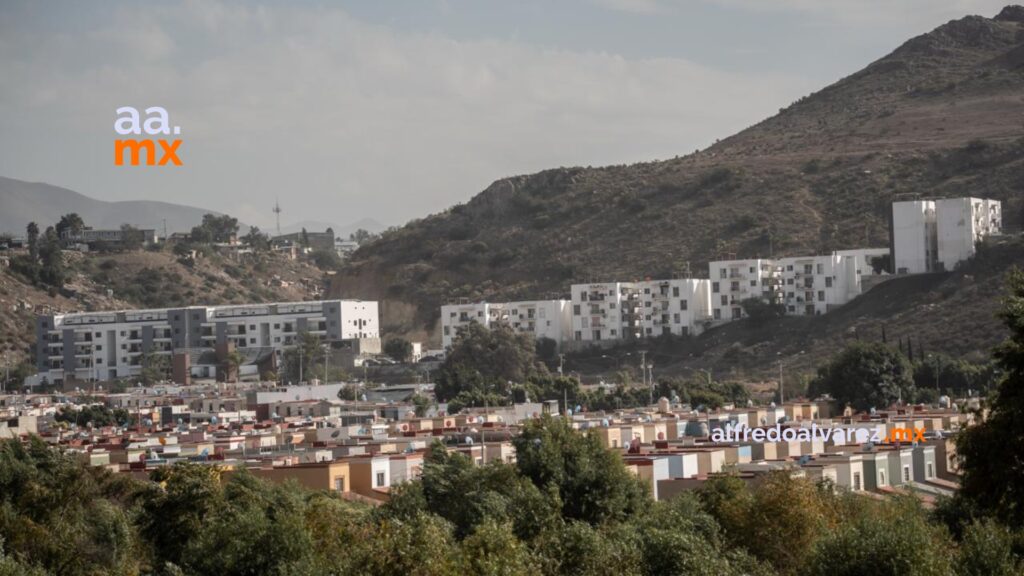 Activista advierte sobre deterioro del Arroyo Alamar: “La fauna espera una nueva oportunidad”