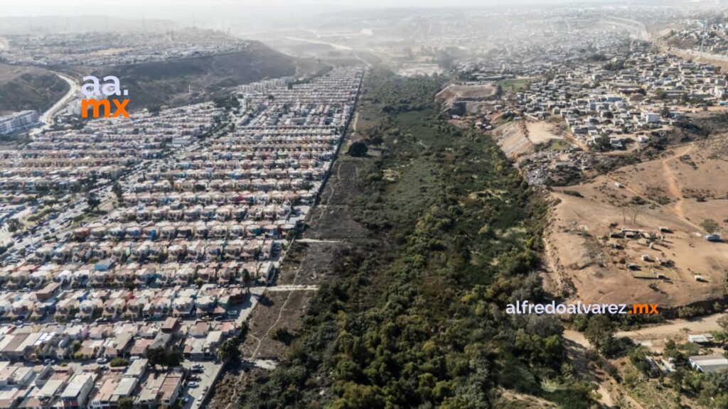 Activista advierte sobre deterioro del Arroyo Alamar: “La fauna espera una nueva oportunidad”
