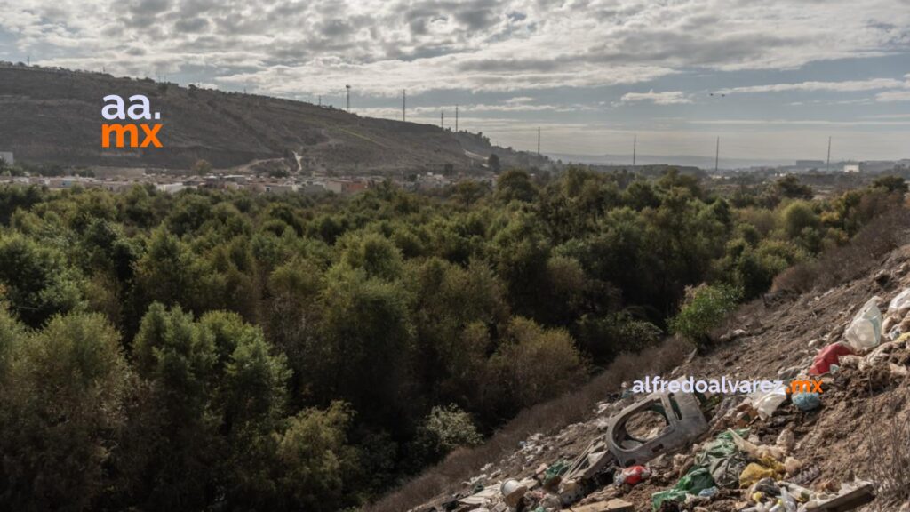 Activista advierte sobre deterioro del Arroyo Alamar: “La fauna espera una nueva oportunidad”