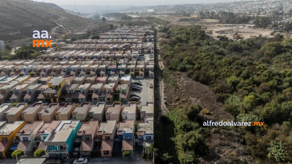 Activista advierte sobre deterioro del Arroyo Alamar: “La fauna espera una nueva oportunidad”