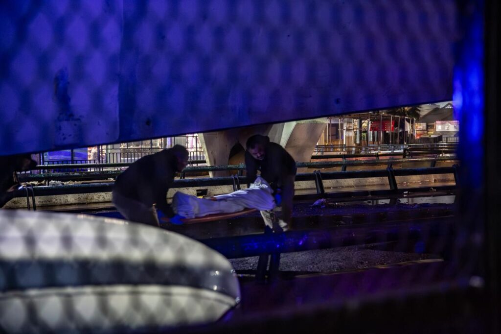 Hallan cadáver de una mujer; roedores comieron parte del rostro y manos