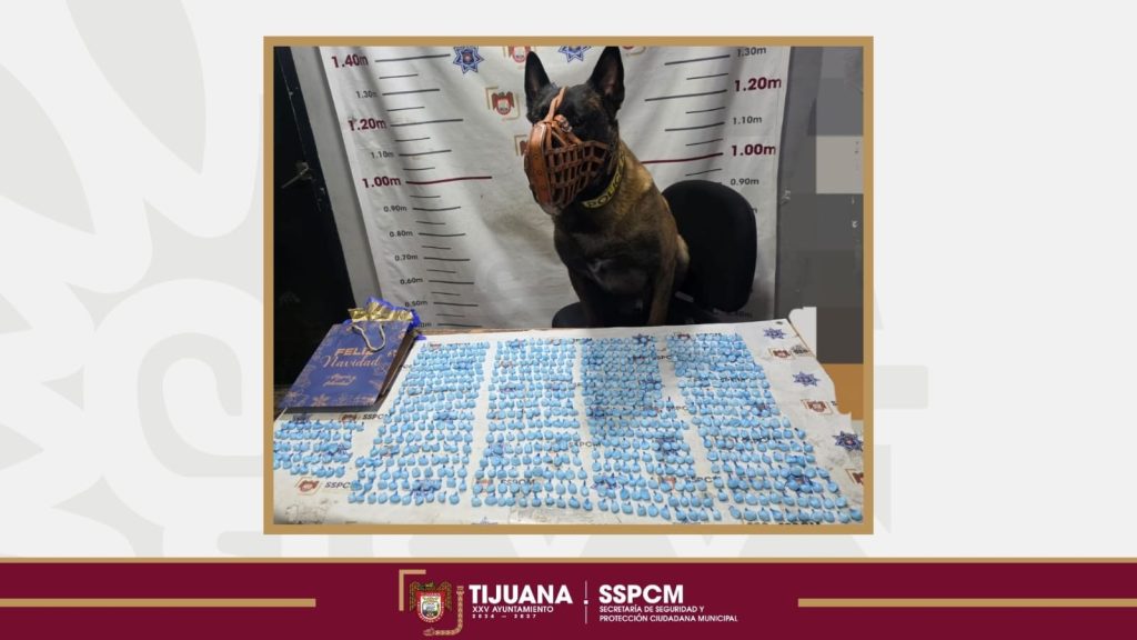 Detienen en Tejamen a tres con 750 dosis de cristal, informa Policía Municipal